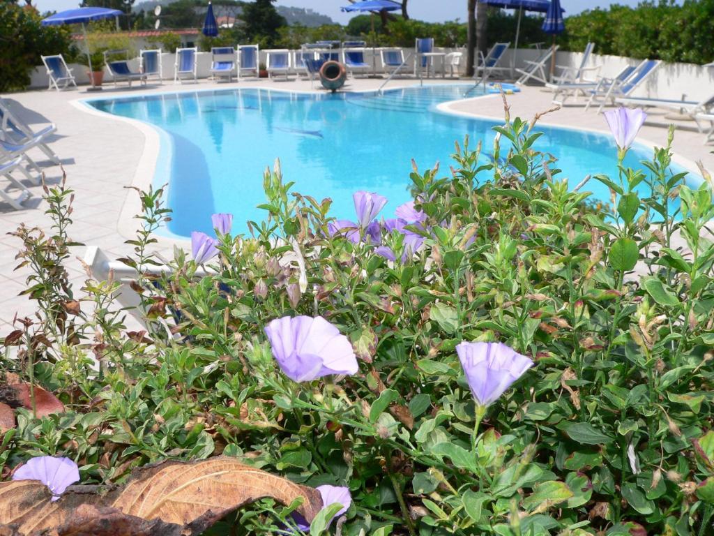 Hotel Parco Conte Casamicciola Terme Extérieur photo